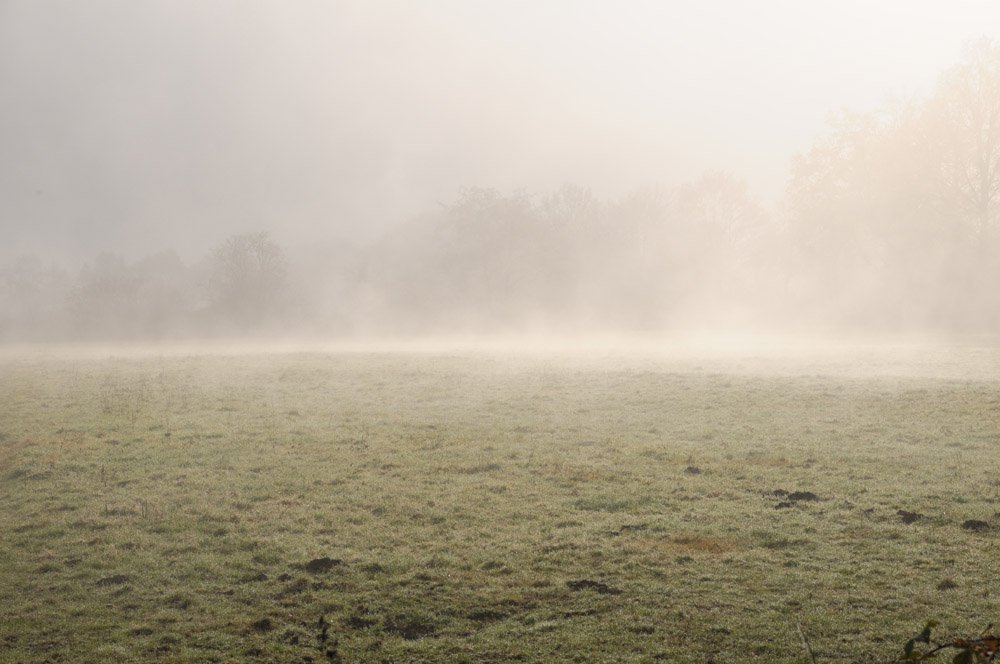 Herbstnebel  -  2009 11 08 11 34 52 1