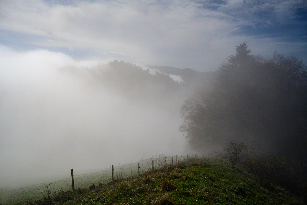 Herbstnebel.jpg