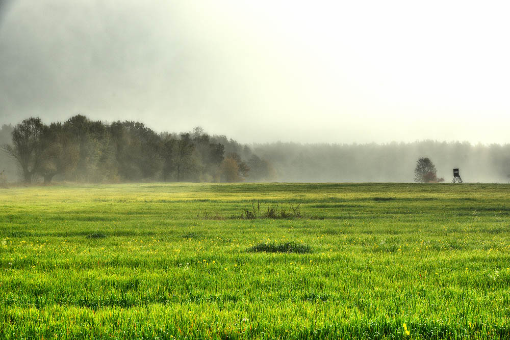 Herbstnebel