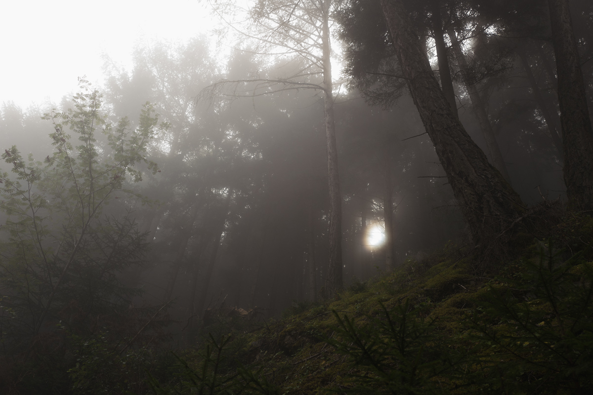 Herbstnebel