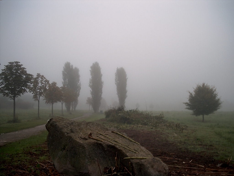 Herbstnebel