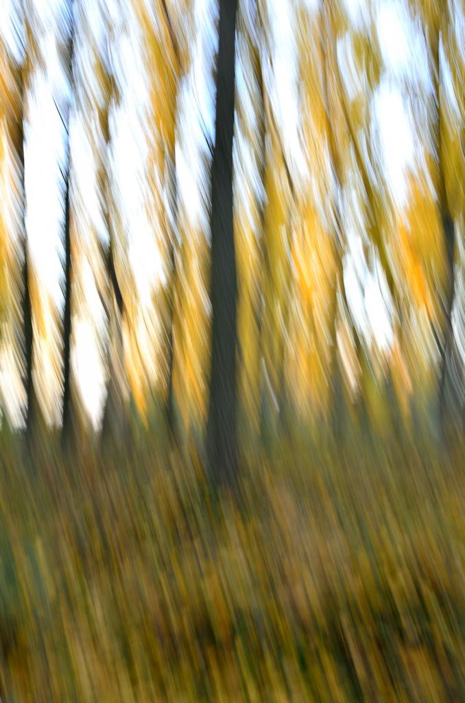 HerbstNW 3194VK