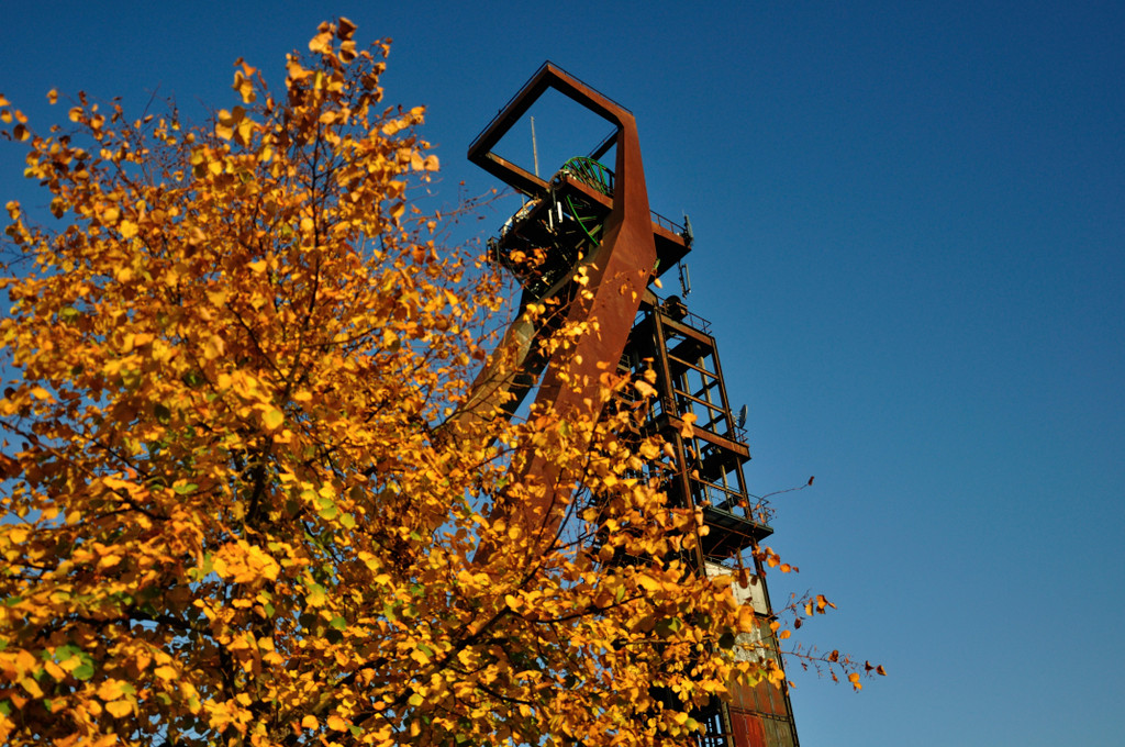 Herbstpütt