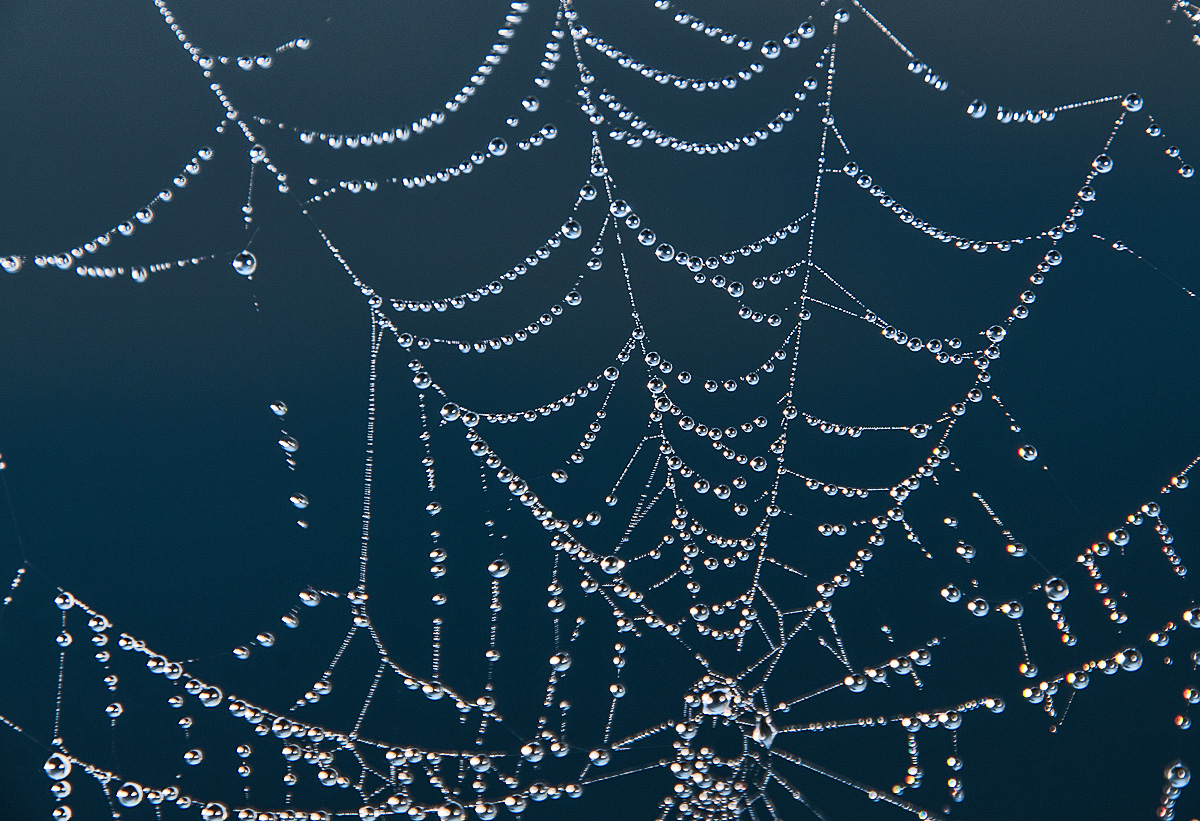 Herbstperlen 2