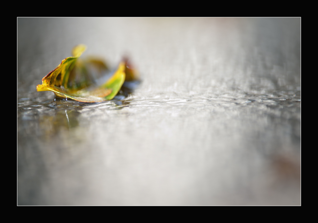 HerbstPZ1 1612
