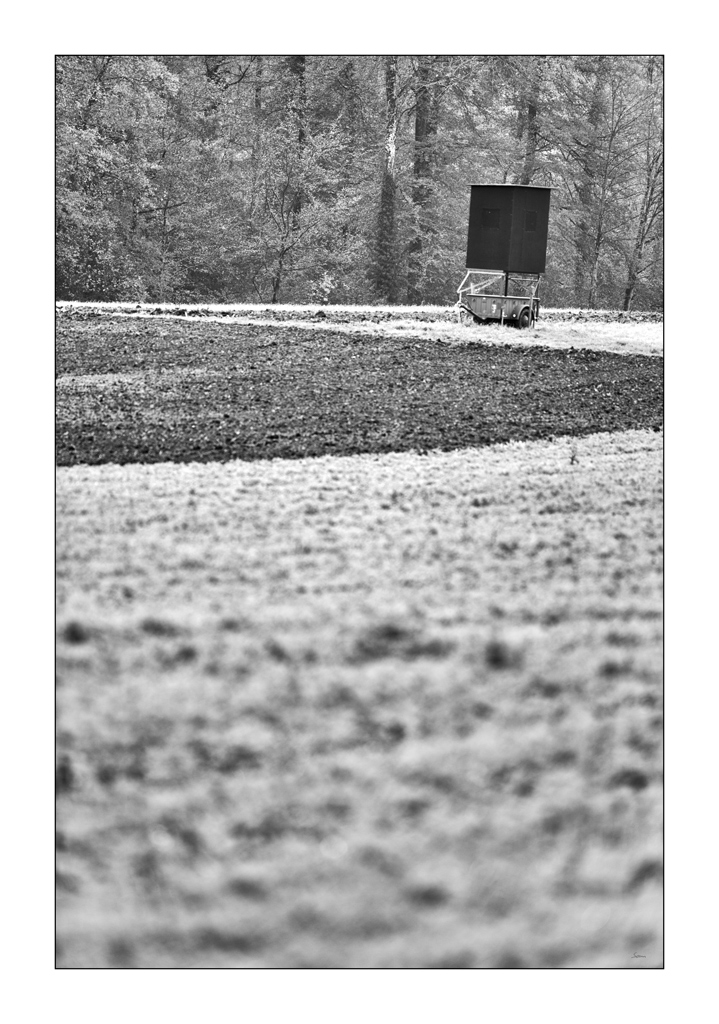HerbstPZ1 3130