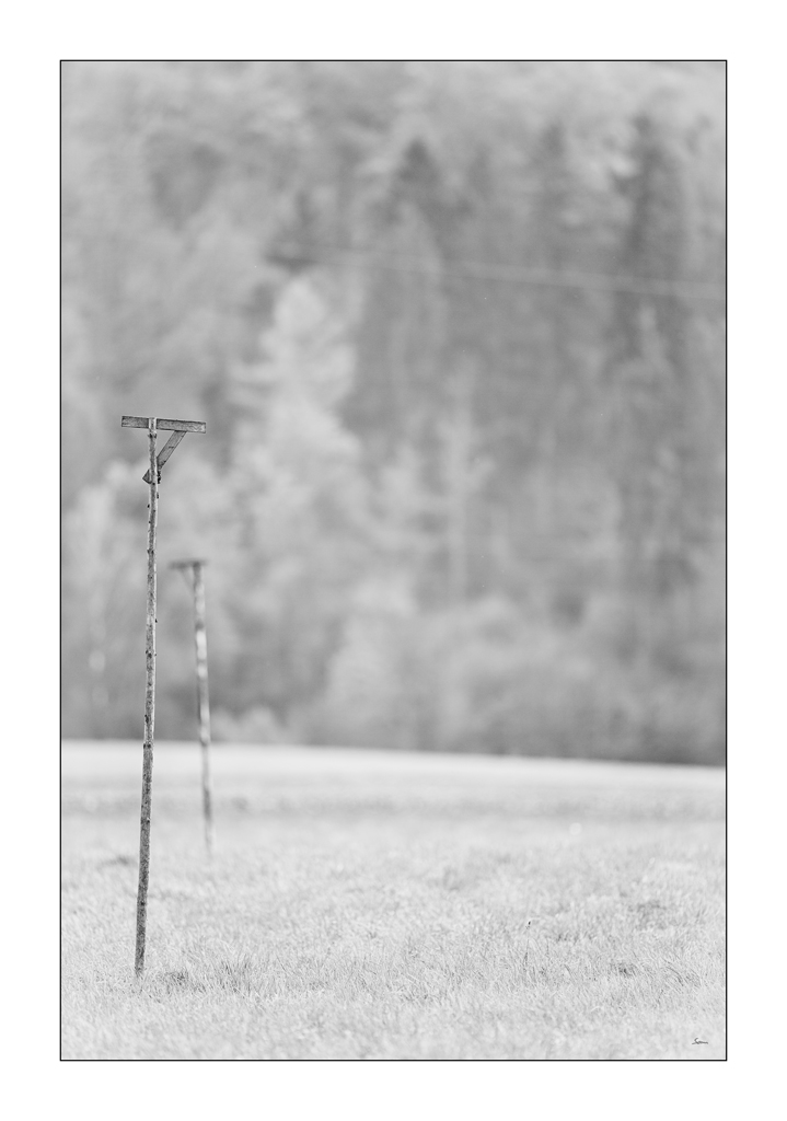 HerbstPZ1 3136