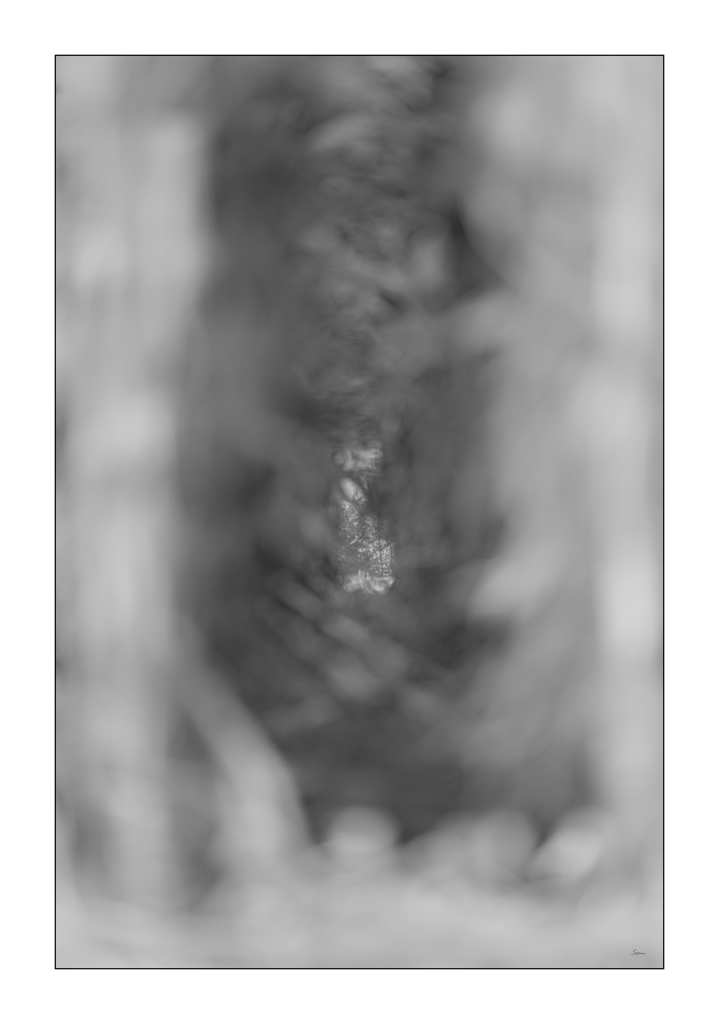 HerbstPZ1 3137