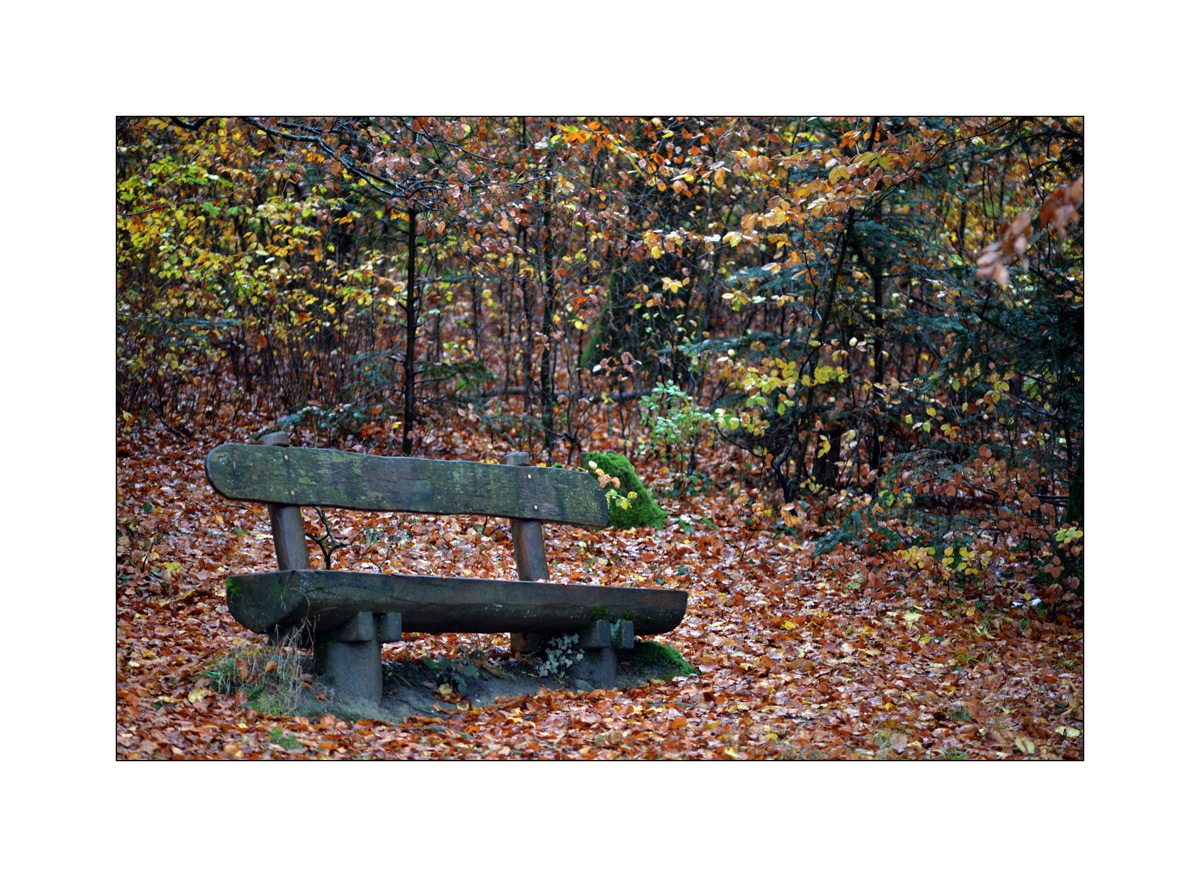HerbstPZ1 7916 00011