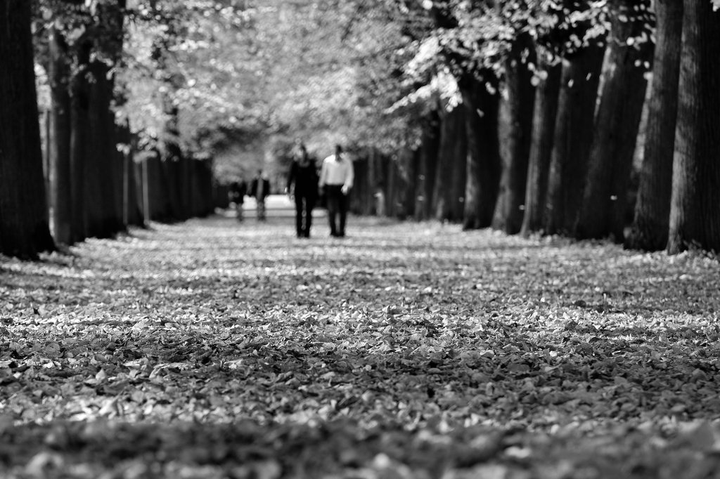Herbstsparziergang sw