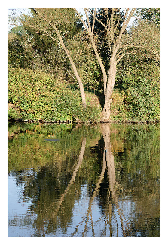 Herbstspiegelung