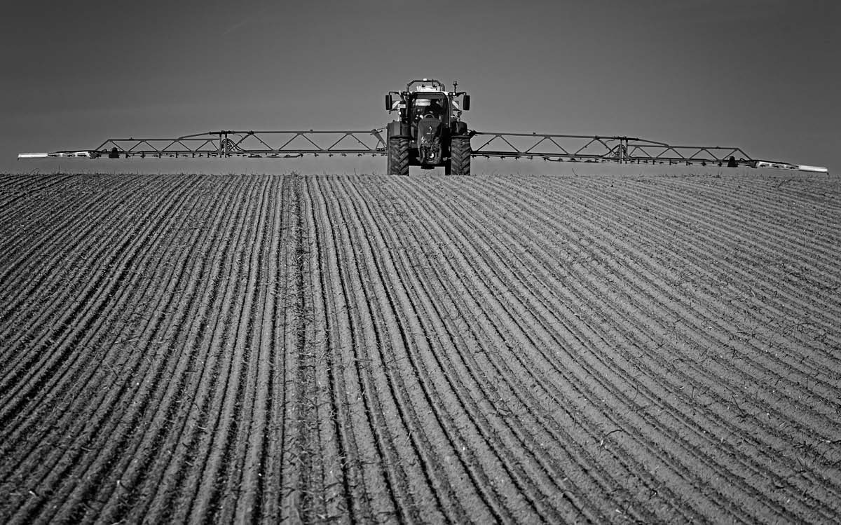 Herbstspritzung_BW.jpg