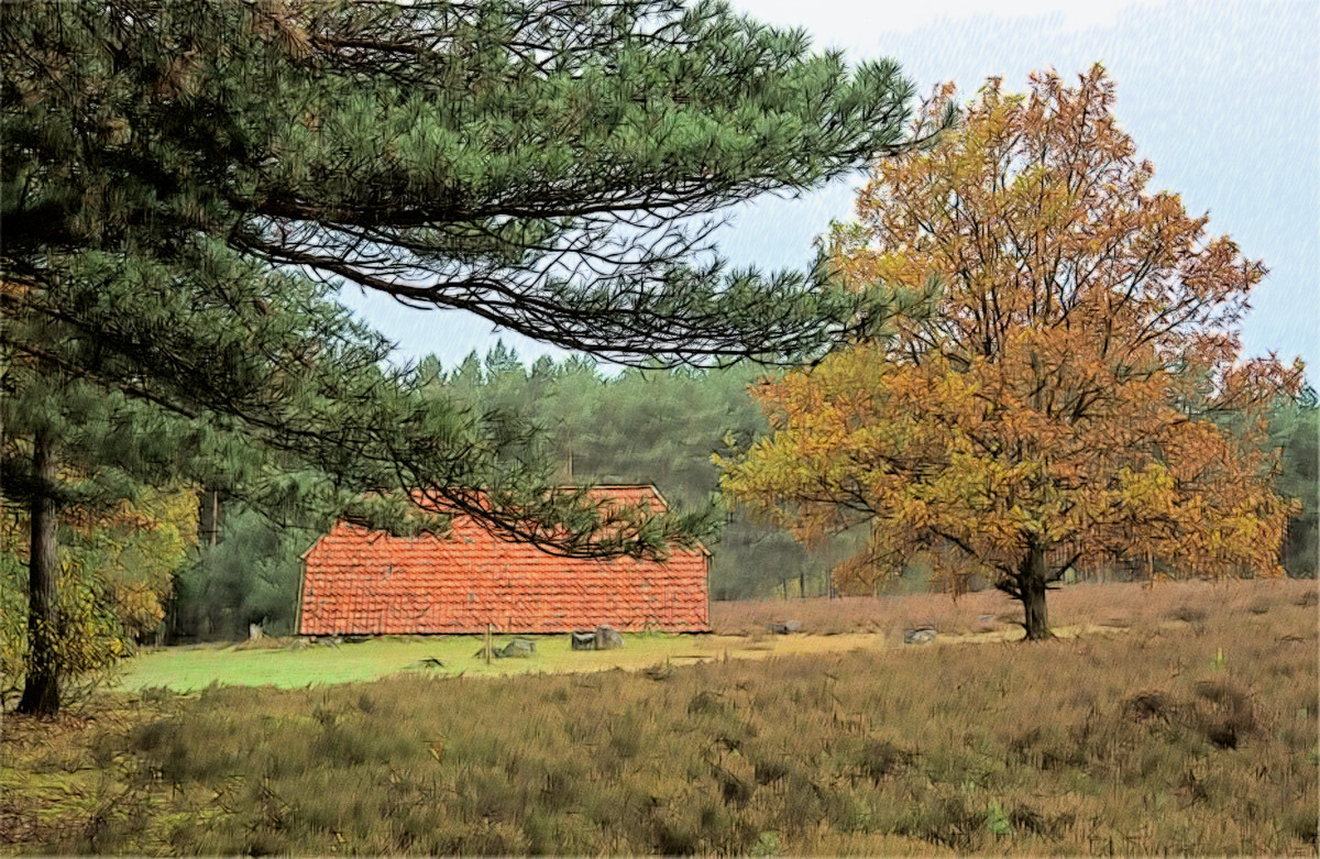 Herbststall 1