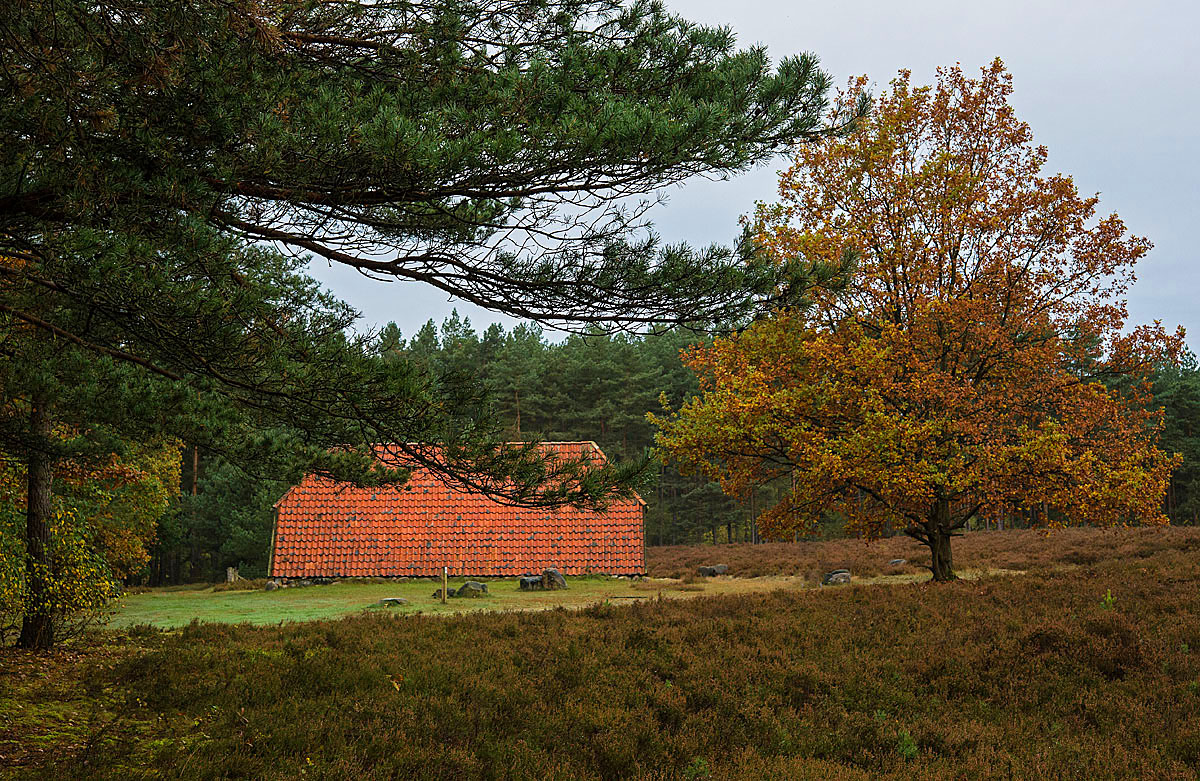 Herbststall 2