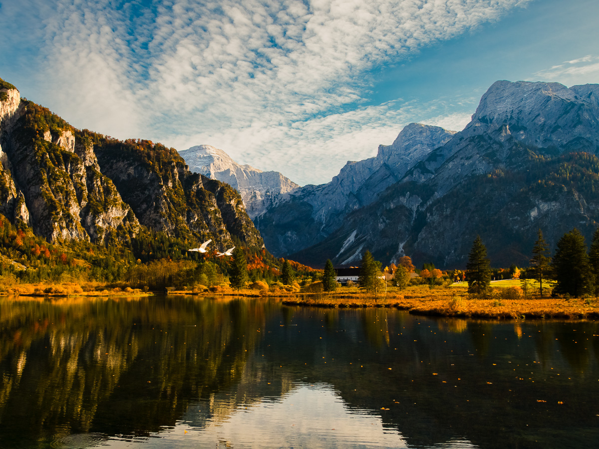 Herbststimmung Almsee.jpg