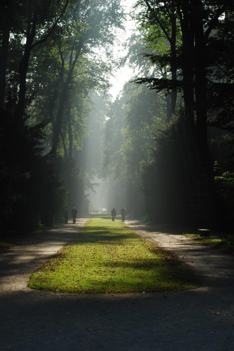 Herbsttag