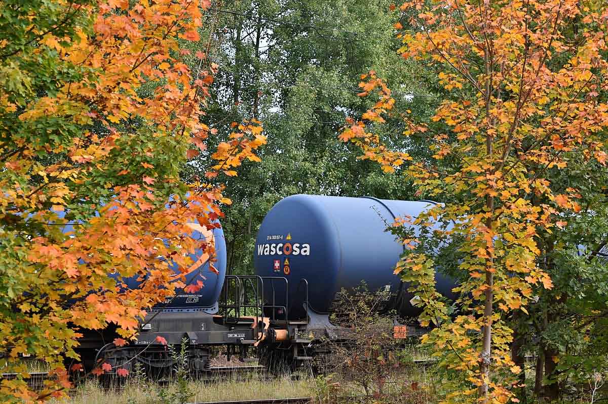Herbstwaggons.jpg