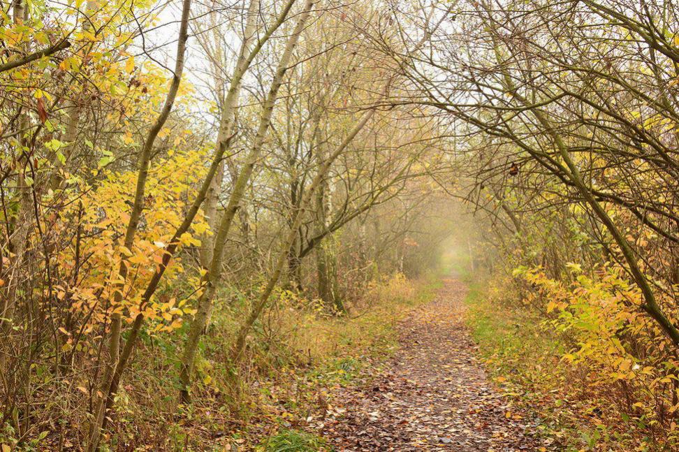 Herbstweg