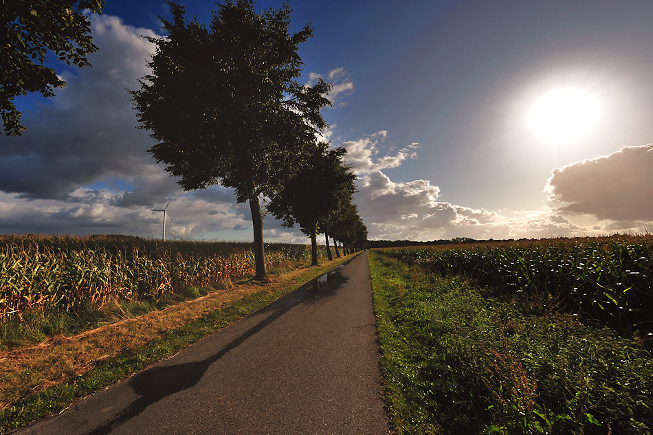 Herbstweg