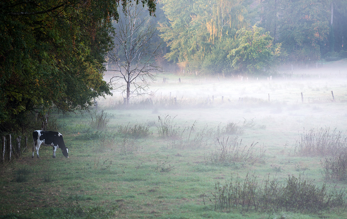 Herbstweide 1