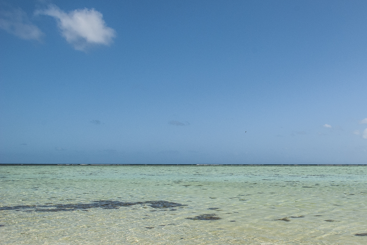 Heron Island Riff.jpg