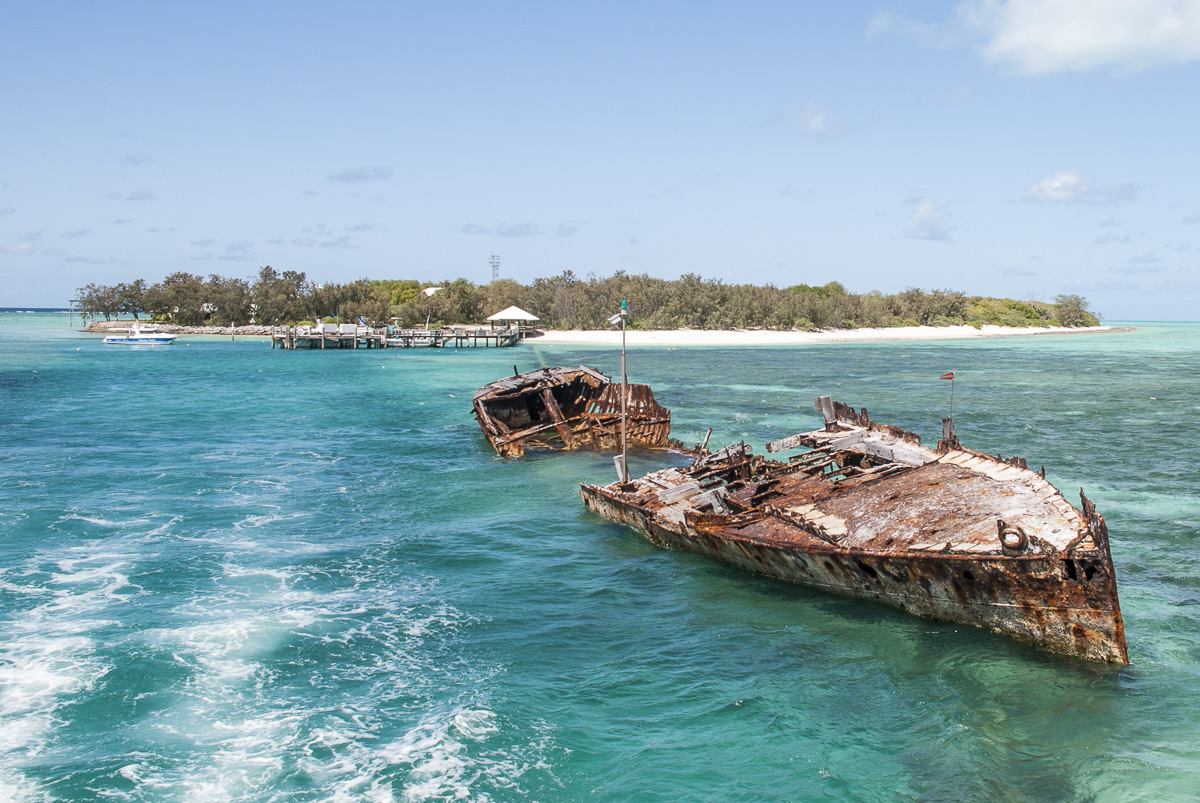 Heron Island Wrack