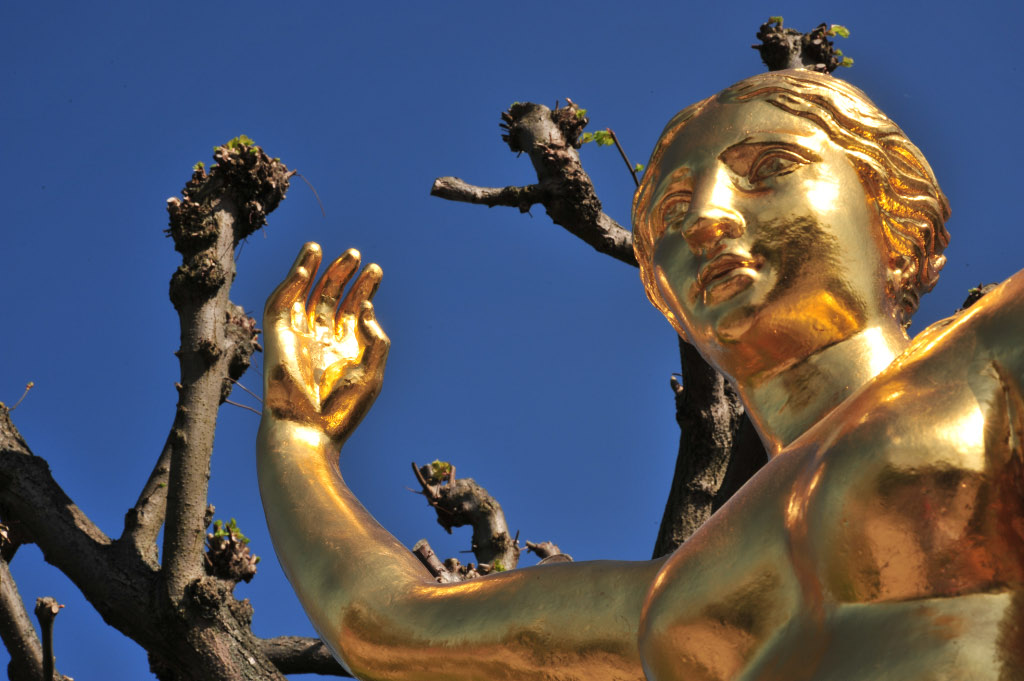 Herrenhausen Gold II
