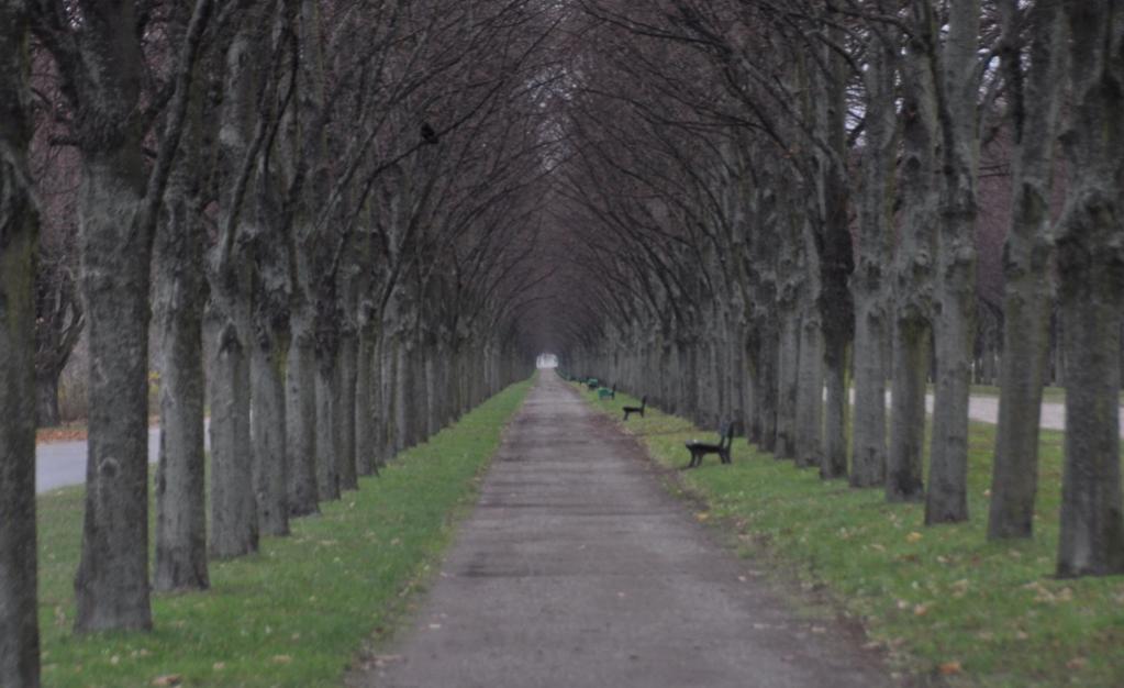 Herstblick in den Herrenhäuser Gärten, Hannover