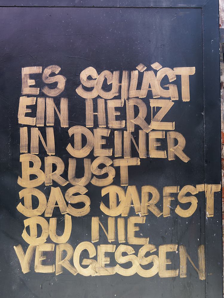 Herz in der Brust.jpg