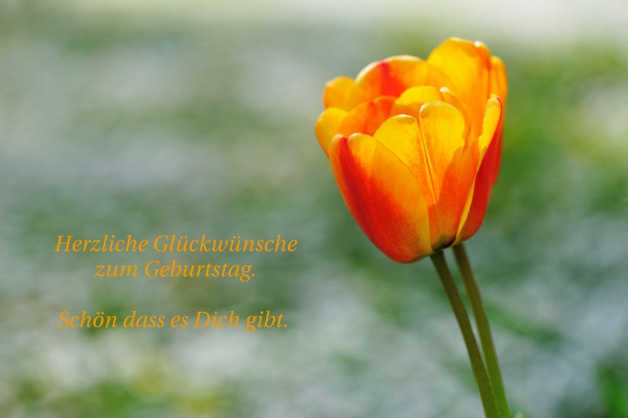 herzliche Glueckwuensche