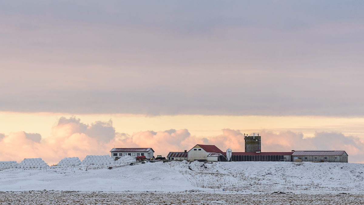 Heu vor der Hütte 20160227 090135 island 2016