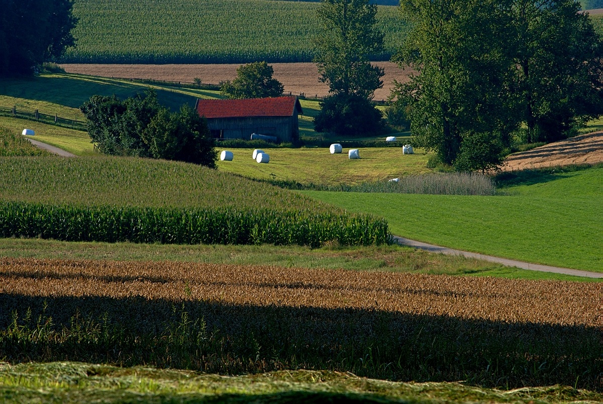 Heustadl