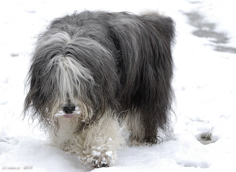 Heute im Schnee