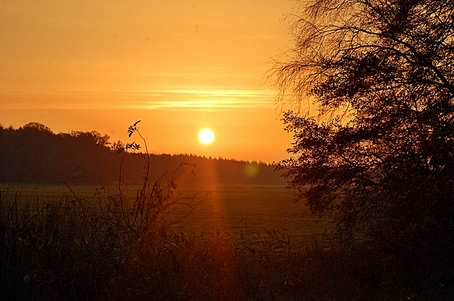 Heute morgen um 08 14.11.13 017
