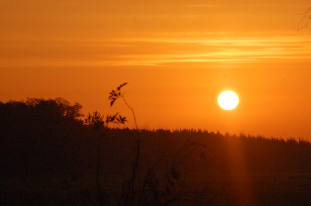 Heute morgen um 08 14.11.13 019