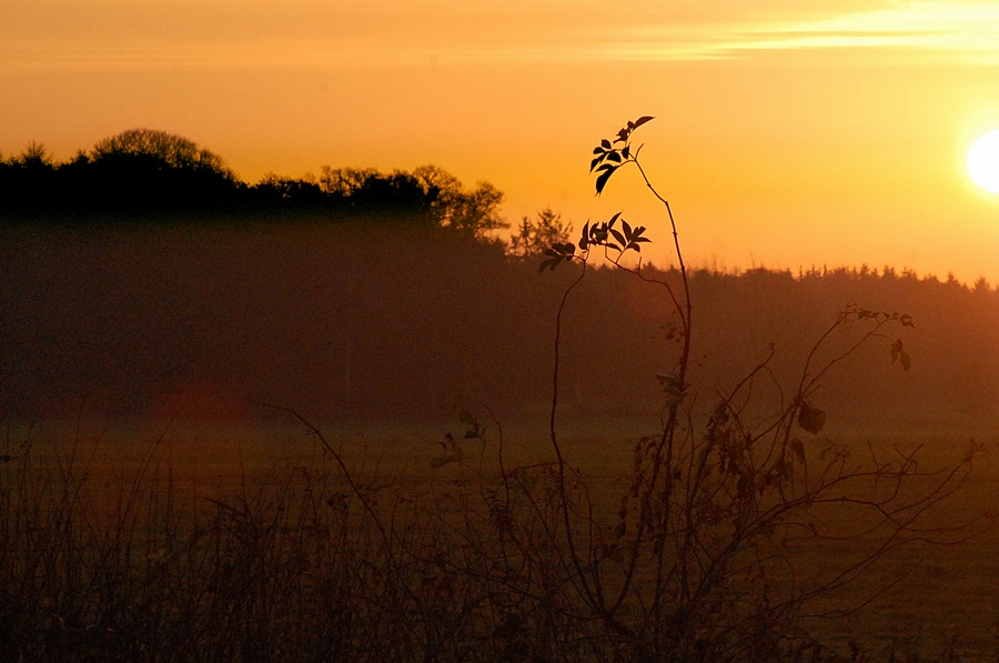 Heute morgen um 08 14.11.13 021