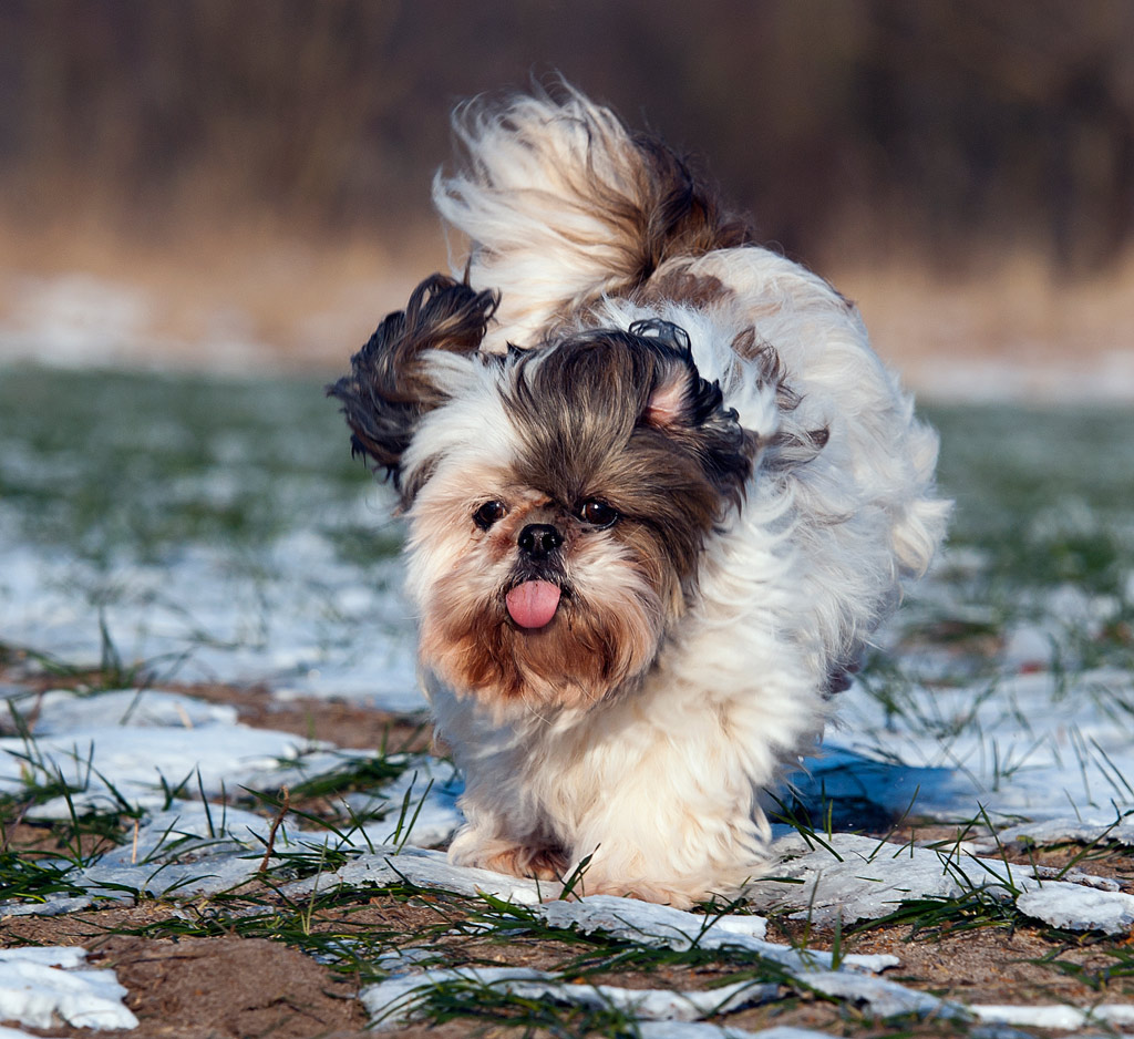 Hey, was guckst du?