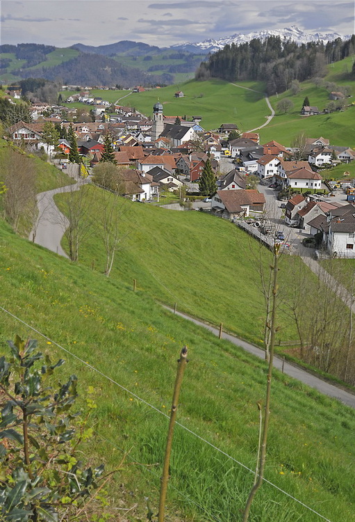 HF14209 Mosnang verkleinert