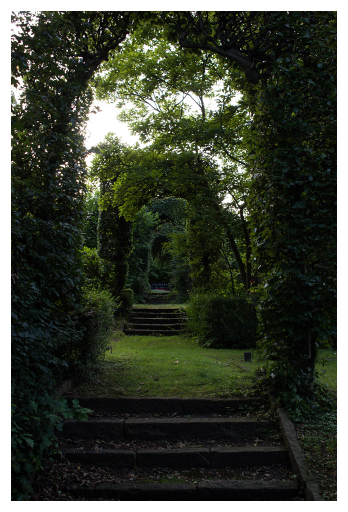 HF3