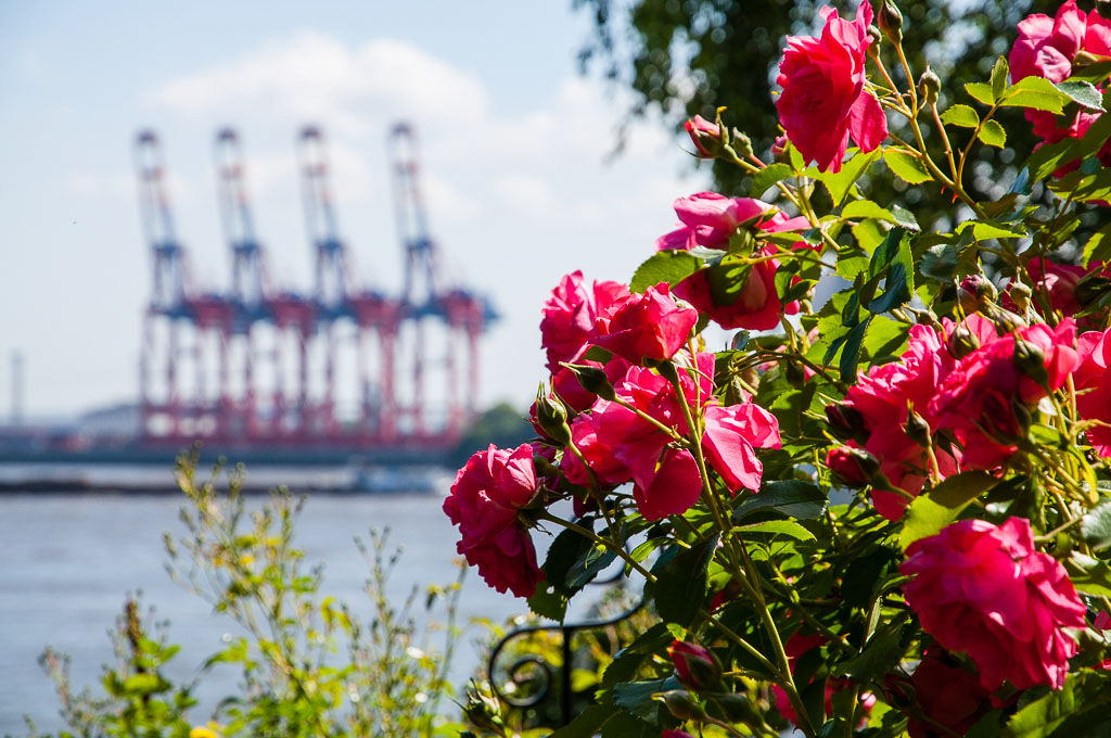 HH Bick zum Containerterminal