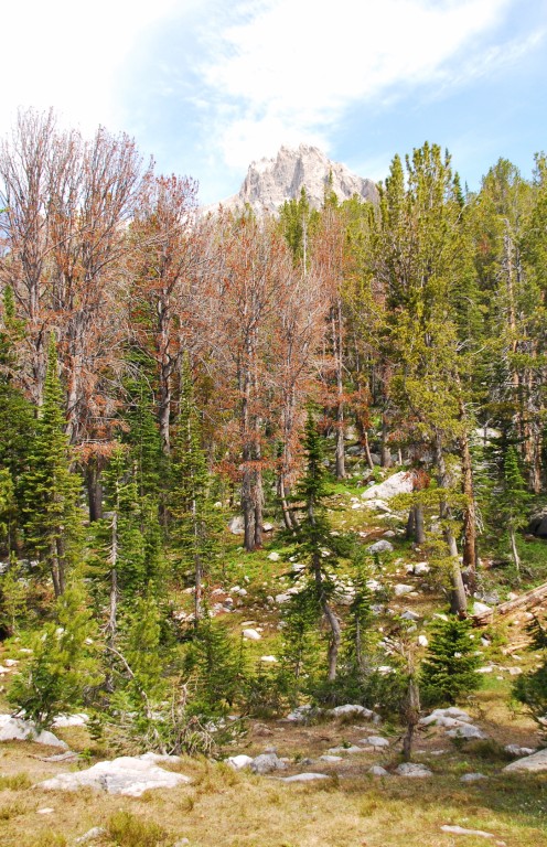 hike