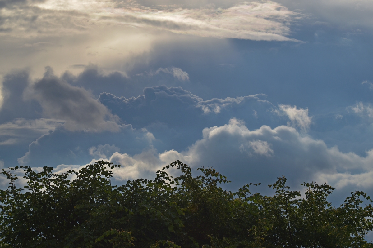 Himmel über Buch1