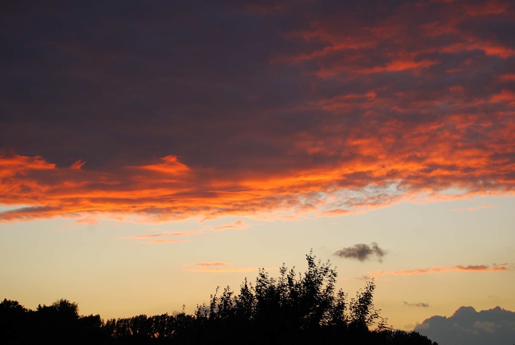 Himmel rot, 2009