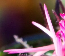 Hintergrund4