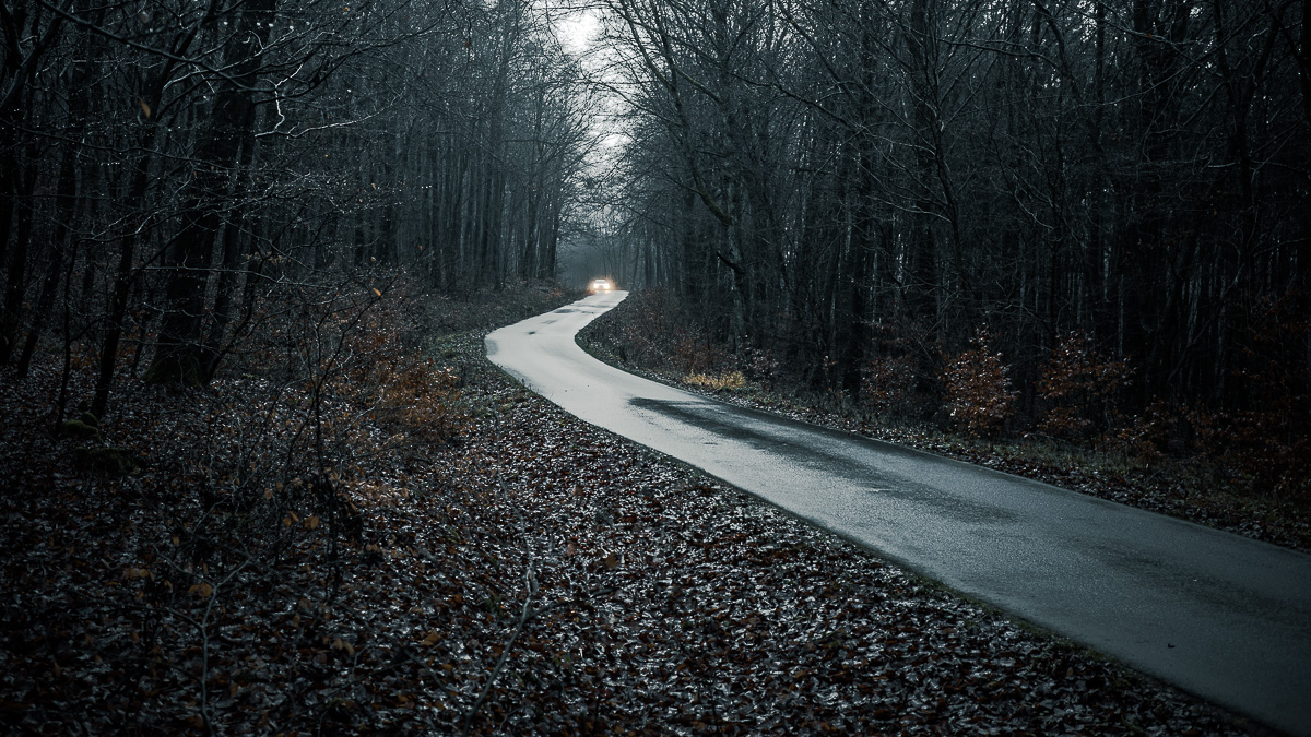 Hinterlandwaldstraße im Untertanus