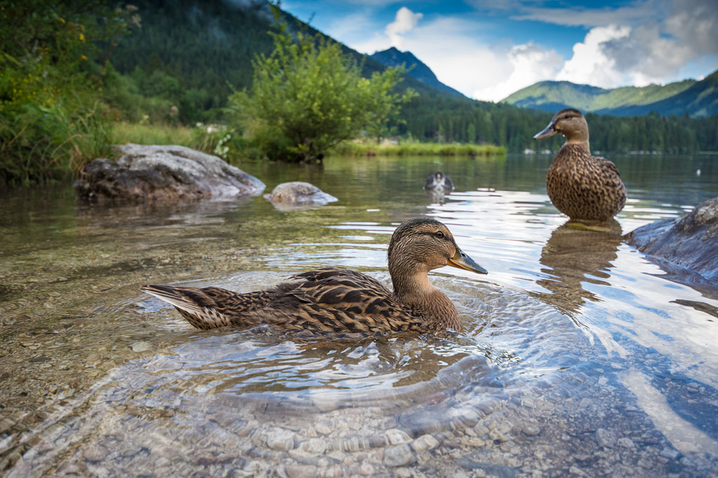 Hintersee 001