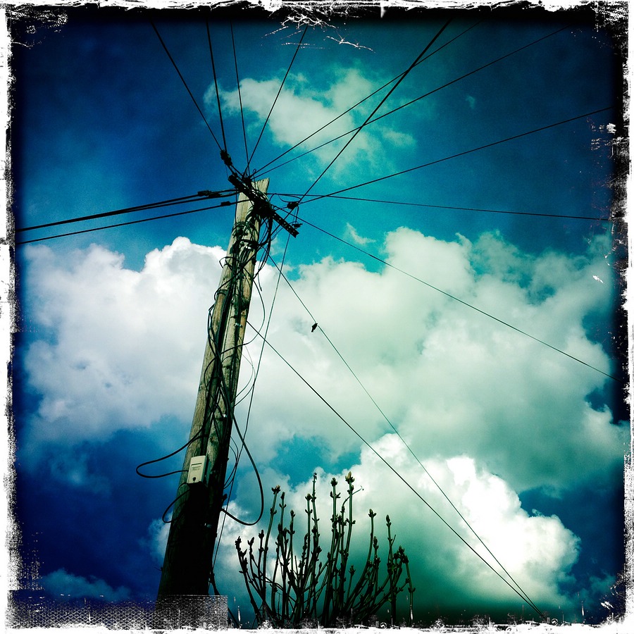 HipIMG 0337