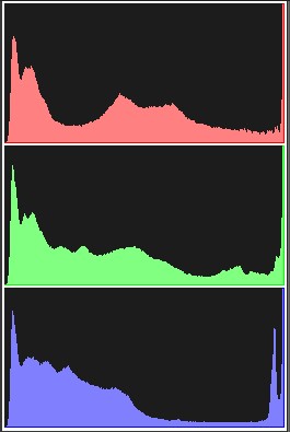 Histogram