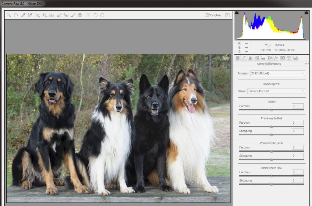 histogramm3