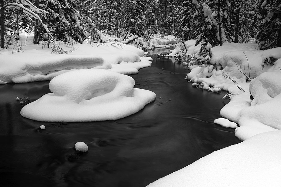 HJN Winter 5
